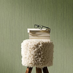 Galerie Wallcoverings Product Code: AM30038 - Amazonia Wallpaper Collection Galerie Wallcoverings Product Code AM30038 - Amazonia Wallpaper Collection - Green Colours - Rattan Texture Design