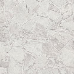 Galerie Wallcoverings Product Code: BB51139 - Bricks And More Wallpaper Collection Galerie Wallcoverings Product Code BB51139 - Bricks And More Wallpaper Collection - Grey White Colours - Petrified Paradise Motif Design