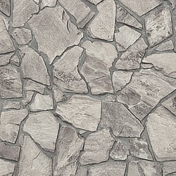Galerie Wallcoverings Product Code: BB51140 - Bricks And More Wallpaper Collection Galerie Wallcoverings Product Code BB51140 - Bricks And More Wallpaper Collection - Grey Colours - Petrified Paradise Motif Design