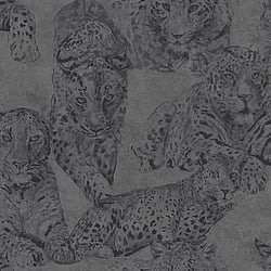 Galerie Wallcoverings Product Code: BL22722 - Botanica Wallpaper Collection Galerie Wallcoverings Product Code BL22722 - Botanica Wallpaper Collection - Black Colours - Leopard Design