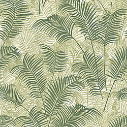 Galerie Wallcoverings Product Code: BL22763 - Botanica Wallpaper Collection Galerie Wallcoverings Product Code BL22763 - Botanica Wallpaper Collection - Green Colours - Tropical Leaves Design