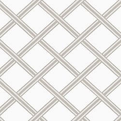 Galerie Wallcoverings Product Code: BO23033 - Luxe Wallpaper Collection Galerie Wallcoverings Product Code BO23033 - Luxe Wallpaper Collection - White Silver Colours - Braid Design