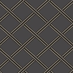 Galerie Wallcoverings Product Code: BO23034 - Luxe Wallpaper Collection Galerie Wallcoverings Product Code BO23034 - Luxe Wallpaper Collection - Black Silver Grey Colours - Braid Design
