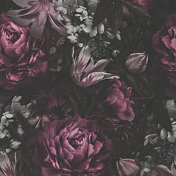Galerie Wallcoverings Product Code: BW51003 - Blooming Wild Wallpaper Collection Galerie Wallcoverings Product Code BW51003 - Blooming Wild Wallpaper Collection - Grey Red Black Colours - Antique Floral Motif Design