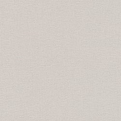 Galerie Wallcoverings Product Code: BW51014 - Blooming Wild Wallpaper Collection Galerie Wallcoverings Product Code BW51014 - Blooming Wild Wallpaper Collection - Beige Brown Colours - Plain Texture Design