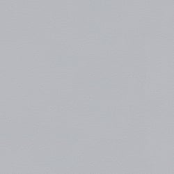 Galerie Wallcoverings Product Code: BW51021 - Blooming Wild Wallpaper Collection Galerie Wallcoverings Product Code BW51021 - Blooming Wild Wallpaper Collection - Grey Colours - Plain Texture Design