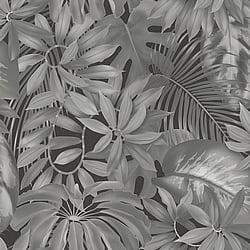 Galerie Wallcoverings Product Code: BW51022 - Blooming Wild Wallpaper Collection Galerie Wallcoverings Product Code BW51022 - Blooming Wild Wallpaper Collection - Black Grey Colours - Tropical Leaf Motif Design