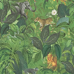 Galerie Wallcoverings Product Code: BW51025 - Blooming Wild Wallpaper Collection Galerie Wallcoverings Product Code BW51025 - Blooming Wild Wallpaper Collection - Green Grey Brown Colours - Amazon Motif Design