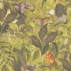 Galerie Wallcoverings Product Code: BW51026 - Blooming Wild Wallpaper Collection Galerie Wallcoverings Product Code BW51026 - Blooming Wild Wallpaper Collection - Yellow Green Colours - Amazon Motif Design