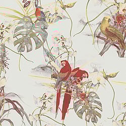 Galerie Wallcoverings Product Code: BW51028 - Blooming Wild Wallpaper Collection Galerie Wallcoverings Product Code BW51028 - Blooming Wild Wallpaper Collection - Cream Red White Colours - Exotic Parrot Motif Design