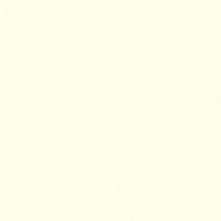 Galerie Wallcoverings Product Code: BW51032 - Blooming Wild Wallpaper Collection Galerie Wallcoverings Product Code BW51032 - Blooming Wild Wallpaper Collection - Cream Colours - Plain Texture Design
