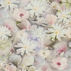 Galerie Wallcoverings Product Code: BW51033 - Blooming Wild Wallpaper Collection Galerie Wallcoverings Product Code BW51033 - Blooming Wild Wallpaper Collection - Blue Green Lilac White Colours - Romantic Daisy Motif Design