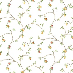 Galerie Wallcoverings Product Code: CK36607 - Kitchen Style 3 Wallpaper Collection Galerie Wallcoverings Product Code CK36607 - Kitchen Style 3 Wallpaper Collection - Orange Red Green White Colours - Fruity Trail Design