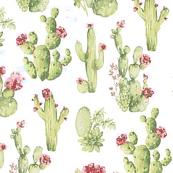 Galerie Wallcoverings Product Code: CK36630 - Kitchen Style 3 Wallpaper Collection Galerie Wallcoverings Product Code CK36630 - Kitchen Style 3 Wallpaper Collection - Green Red Colours - Cactus Motif Design