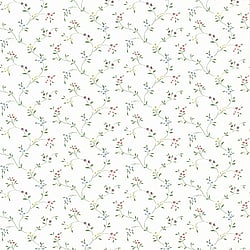 Galerie Wallcoverings Product Code: CN24604 - Fresh Kitchens 5 Wallpaper Collection Galerie Wallcoverings Product Code CN24604 - Fresh Kitchens 5 Wallpaper Collection -