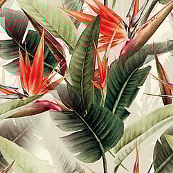 Galerie Wallcoverings Product Code: DD120242 - Havana Wallpaper Collection Galerie Wallcoverings Product Code DD120242 - Havana Wallpaper Collection -