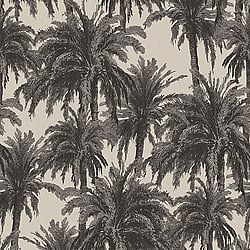 Galerie Wallcoverings Product Code: ED13050 - Ted Baker Eden Wallpaper Collection Galerie Wallcoverings Product Code ED13050 - Ted Baker Eden Wallpaper Collection - Taupe Black Colours - Treetops Design