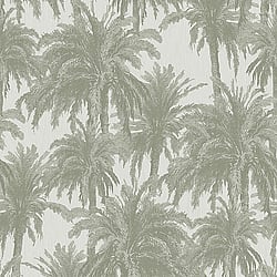 Galerie Wallcoverings Product Code: ED13054 - Ted Baker Eden Wallpaper Collection Galerie Wallcoverings Product Code ED13054 - Ted Baker Eden Wallpaper Collection - White Green Colours - Treetops Design