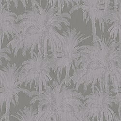 Galerie Wallcoverings Product Code: ED13057 - Ted Baker Eden Wallpaper Collection Galerie Wallcoverings Product Code ED13057 - Ted Baker Eden Wallpaper Collection - Grey Lilac Colours - Treetops Design