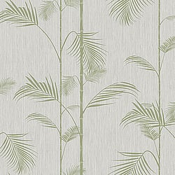 Galerie Wallcoverings Product Code: ED13065 - Ted Baker Eden Wallpaper Collection Galerie Wallcoverings Product Code ED13065 - Ted Baker Eden Wallpaper Collection - Silver Green Colours - Carmel Design