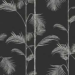 Galerie Wallcoverings Product Code: ED13070 - Ted Baker Eden Wallpaper Collection Galerie Wallcoverings Product Code ED13070 - Ted Baker Eden Wallpaper Collection - Black Silver Colours - Carmel Design