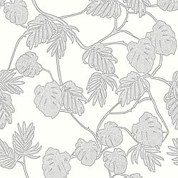 Galerie Wallcoverings Product Code: ED13076 - Ted Baker Eden Wallpaper Collection Galerie Wallcoverings Product Code ED13076 - Ted Baker Eden Wallpaper Collection - White Black Colours - Leafit Design