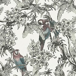 Galerie Wallcoverings Product Code: ED13085 - Ted Baker Eden Wallpaper Collection Galerie Wallcoverings Product Code ED13085 - Ted Baker Eden Wallpaper Collection - Cream Green Red Turquoise Black Colours - Macaw Design