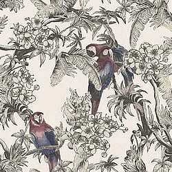 Galerie Wallcoverings Product Code: ED13087 - Ted Baker Eden Wallpaper Collection Galerie Wallcoverings Product Code ED13087 - Ted Baker Eden Wallpaper Collection - Pink Red Blue Black Colours - Macaw Design