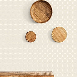 Galerie Wallcoverings Product Code: ED13098 - Ted Baker Eden Wallpaper Collection Galerie Wallcoverings Product Code ED13098 - Ted Baker Eden Wallpaper Collection - Cream White Colours - Chesnut Design