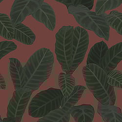 Galerie Wallcoverings Product Code: ED13125 - Ted Baker Eden Wallpaper Collection Galerie Wallcoverings Product Code ED13125 - Ted Baker Eden Wallpaper Collection - Red Green Colours - Piner Design