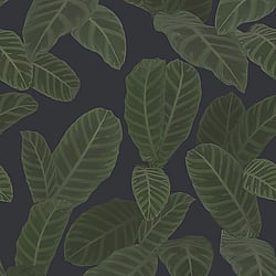 Galerie Wallcoverings Product Code: ED13126 - Ted Baker Eden Wallpaper Collection Galerie Wallcoverings Product Code ED13126 - Ted Baker Eden Wallpaper Collection - Navy Blue Green Colours - Piner Design