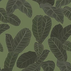 Galerie Wallcoverings Product Code: ED13127 - Ted Baker Eden Wallpaper Collection Galerie Wallcoverings Product Code ED13127 - Ted Baker Eden Wallpaper Collection - Green Colours - Piner Design