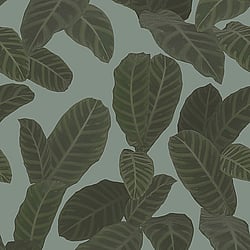 Galerie Wallcoverings Product Code: ED13129 - Ted Baker Eden Wallpaper Collection Galerie Wallcoverings Product Code ED13129 - Ted Baker Eden Wallpaper Collection - Blue Green Colours - Piner Design