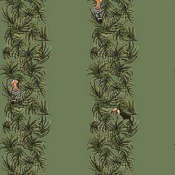 Galerie Wallcoverings Product Code: ED13135 - Ted Baker Eden Wallpaper Collection Galerie Wallcoverings Product Code ED13135 - Ted Baker Eden Wallpaper Collection - Green Orange Black Colours - Compala Design