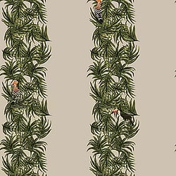 Galerie Wallcoverings Product Code: ED13136 - Ted Baker Eden Wallpaper Collection Galerie Wallcoverings Product Code ED13136 - Ted Baker Eden Wallpaper Collection - Taupe Green Orange Black Colours - Compala Design