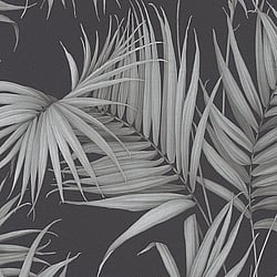 Galerie Wallcoverings Product Code: ES31134 - Escape Wallpaper Collection Galerie Wallcoverings Product Code ES31134 - Escape Wallpaper Collection - Green, Grey, Black Colours - Palm Leaves Design