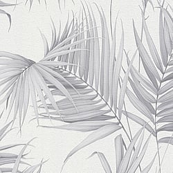 Galerie Wallcoverings Product Code: ES31135 - Escape Wallpaper Collection Galerie Wallcoverings Product Code ES31135 - Escape Wallpaper Collection - Light Grey, Dark Grey Colours - Palm Leaves Design