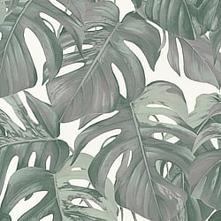 Galerie Wallcoverings Product Code: ES31144 - Escape Wallpaper Collection Galerie Wallcoverings Product Code ES31144 - Escape Wallpaper Collection - Cream, Green, Grey Colours - Leaf Trail Design