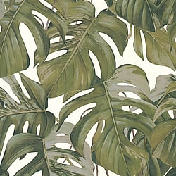 Galerie Wallcoverings Product Code: ES31145 - Escape Wallpaper Collection Galerie Wallcoverings Product Code ES31145 - Escape Wallpaper Collection - White, Brown, Green Colours - Leaf Trail Design