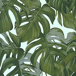 Galerie Wallcoverings Product Code: ES31146 - Escape Wallpaper Collection Galerie Wallcoverings Product Code ES31146 - Escape Wallpaper Collection - Beige, Grey, Green Colours - Leaf Trail Design