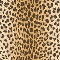 Galerie Wallcoverings Product Code: EW3803 - Urban Living Wallpaper Collection Galerie Wallcoverings Product Code EW3803 - Urban Living Wallpaper Collection -