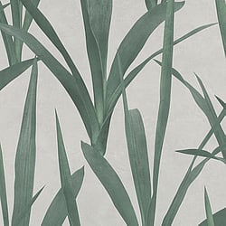 Galerie Wallcoverings Product Code: EX31016 - Exposed Wallpaper Collection Galerie Wallcoverings Product Code EX31016 - Exposed Wallpaper Collection - Green Grey Colours - Tropical Leaf Design