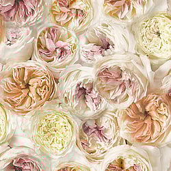 Galerie Wallcoverings Product Code: FC2402 - Facade Wallpaper Collection Galerie Wallcoverings Product Code FC2402 - Facade Wallpaper Collection -