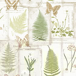 Galerie Wallcoverings Product Code: FK34415 - Fresh Kitchens 5 Wallpaper Collection Galerie Wallcoverings Product Code FK34415 - Fresh Kitchens 5 Wallpaper Collection -