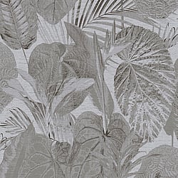 Galerie Wallcoverings Product Code: FL61160 - Flourish Wallpaper Collection Galerie Wallcoverings Product Code FL61160 - Flourish Wallpaper Collection - Grey/Black Colours - Jungle Leaves Motif Design
