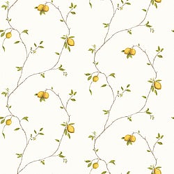 Galerie Wallcoverings Product Code: G12082 - Aquarius K & B Wallpaper Collection Galerie Wallcoverings Product Code G12082 - Aquarius K & B Wallpaper Collection -