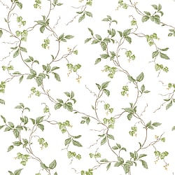 Galerie Wallcoverings Product Code: G12265 - Kitchen Recipes Wallpaper Collection Galerie Wallcoverings Product Code G12265 - Kitchen Recipes Wallpaper Collection -