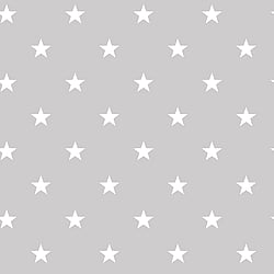 Galerie Wallcoverings Product Code: G23351 - Deauville 2 Wallpaper Collection Galerie Wallcoverings Product Code G23351 - Deauville 2 Wallpaper Collection - Taupe Beige White Colours - Deauville Star Design