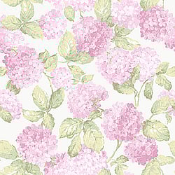 Galerie Wallcoverings Product Code: G34311 - English Florals Wallpaper Collection Galerie Wallcoverings Product Code G34311 - English Florals Wallpaper Collection -