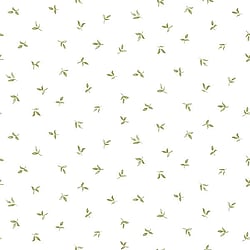 Galerie Wallcoverings Product Code: G34343 - English Florals Wallpaper Collection Galerie Wallcoverings Product Code G34343 - English Florals Wallpaper Collection -